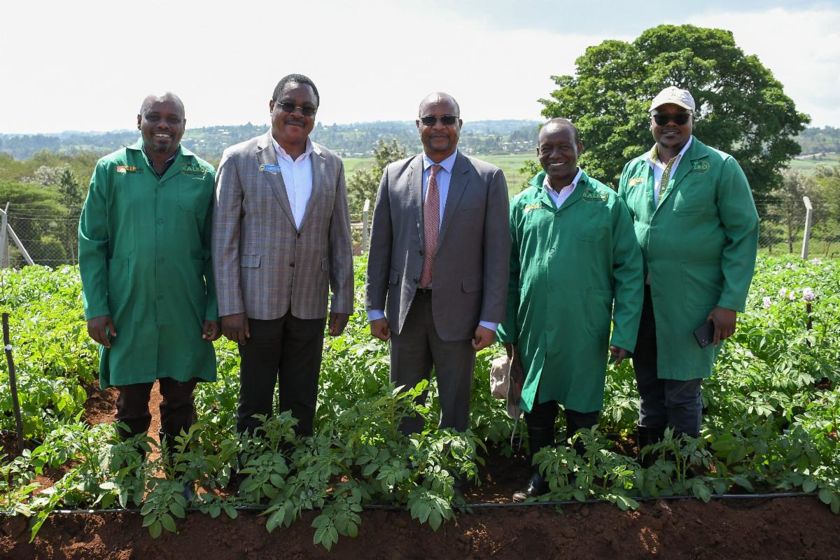 Kenya biosafety regulators visit confined field trial.png